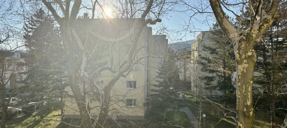 Studio in Baden, Austria No. 127003 8