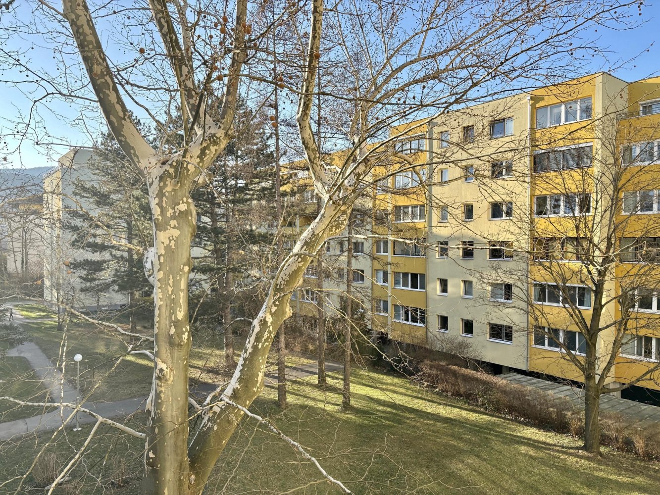 Studio in Baden, Austria No. 127003