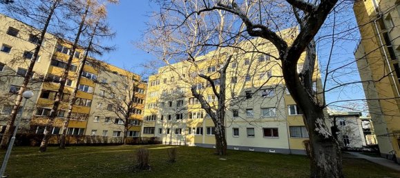 Studio in Baden, Austria No. 127003 14