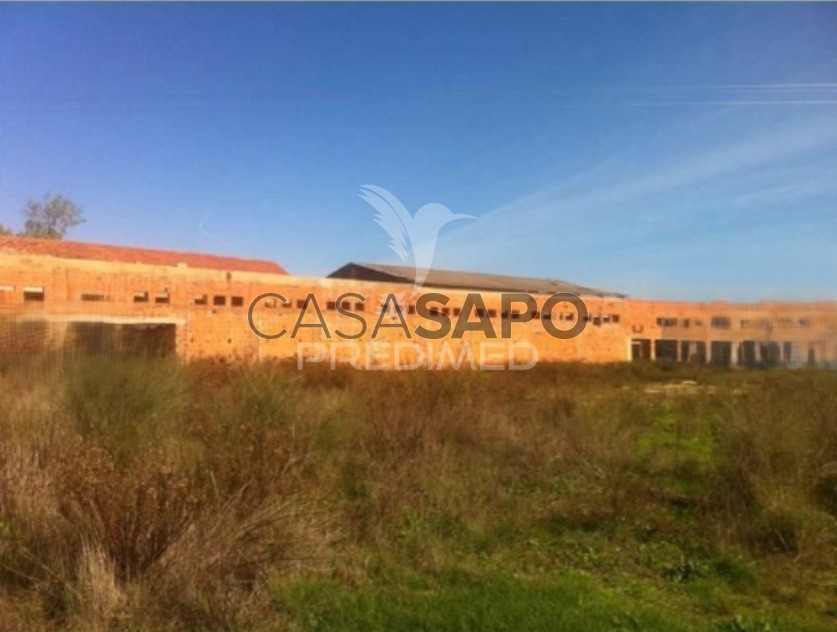  بناية في Quarteira, Portugal 5032متر مربع رقم 194626