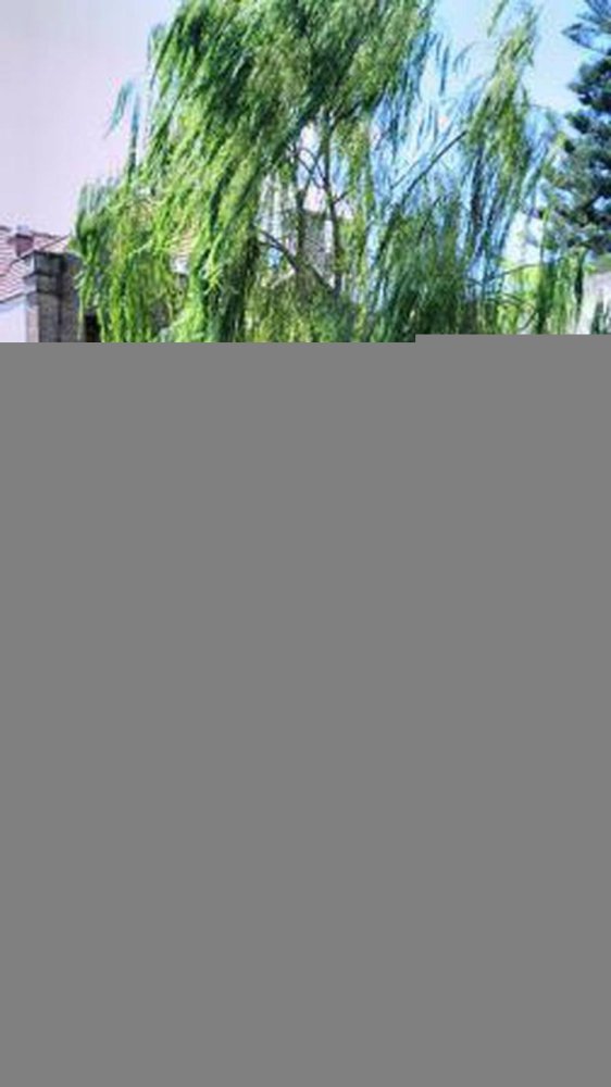 4 bedrooms House in Tres de Febrero, Argentina No. 51443