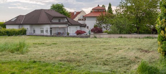740m² Land in Neusiedl am See, Austria No. 242830 3
