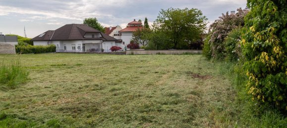 740m² Land in Neusiedl am See, Austria No. 242830 6