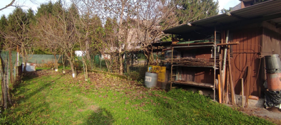 10 rooms Land in Niardo, Italy No. 306392 3