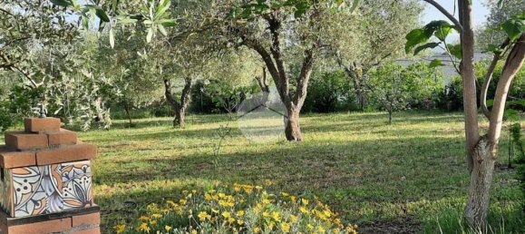 2 chambres Maison à Sassari, Italy No. 165739 31