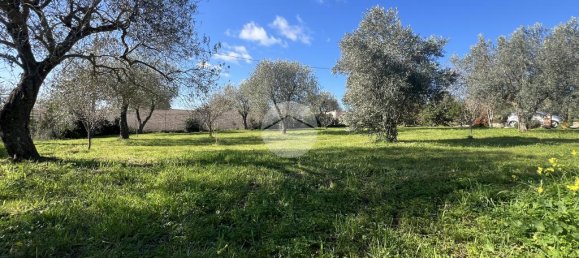 2 chambres Maison à Sassari, Italy No. 165739 30
