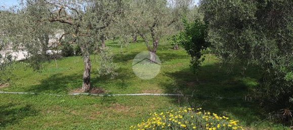 2 chambres Maison à Sassari, Italy No. 165739 29