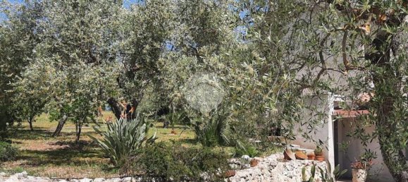 2 chambres Maison à Sassari, Italy No. 165739 3