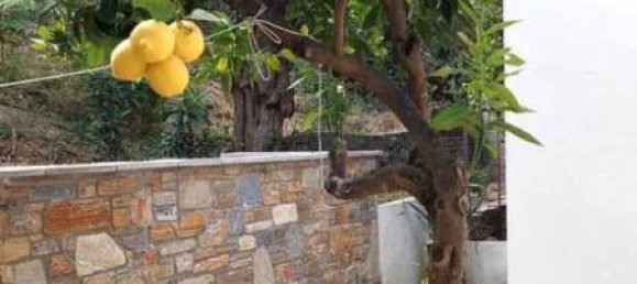 2 Schlafzimmer Gewerbliche Immobilie in Argalasti, Greece, Nr. 1934 19