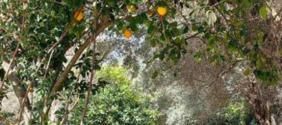 2 Schlafzimmer Gewerbliche Immobilie in Argalasti, Greece, Nr. 1934 18