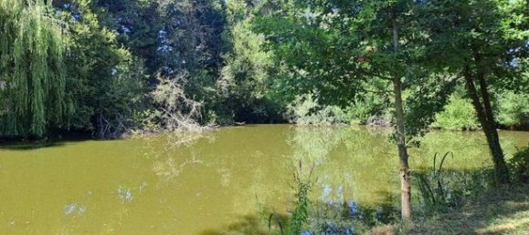 Вилла с 3 спальнями в Сориньи, Франция № 313751 20