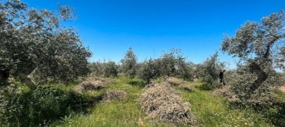 3223m² Land in Granada, Spain No. 141629 5