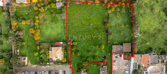 3149m² Land in Loule, Portugal No. 117002 4