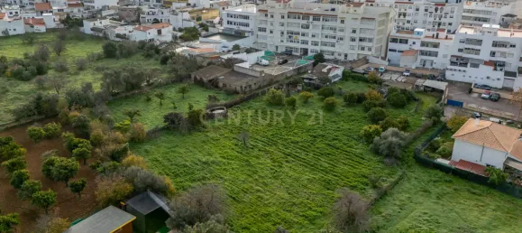 3149m² Land in Loule, Portugal No. 117002 12