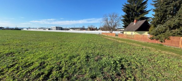  Land in Leibnitz, Austria No. 256186 6