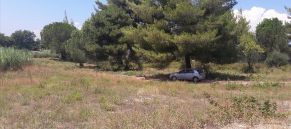 Hotel en Chalkidiki, Greece 6013 m² No. 6527 6