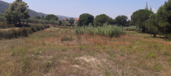 Hotel en Chalkidiki, Greece 6013 m² No. 6527 5