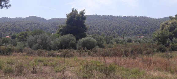 Hotel en Chalkidiki, Greece 6013 m² No. 6527 2