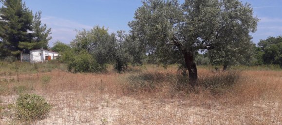 Hotel en Chalkidiki, Greece 6013 m² No. 6527 4