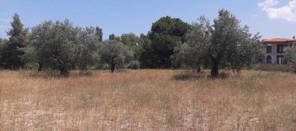 Hotel en Chalkidiki, Greece 6013 m² No. 6527 3