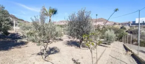 2 bedrooms House in Aguilas, Spain No. 144191 14