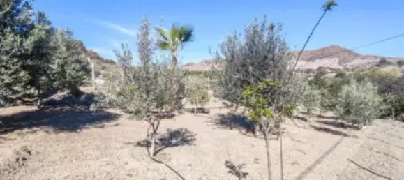 2 bedrooms House in Aguilas, Spain No. 144191 15