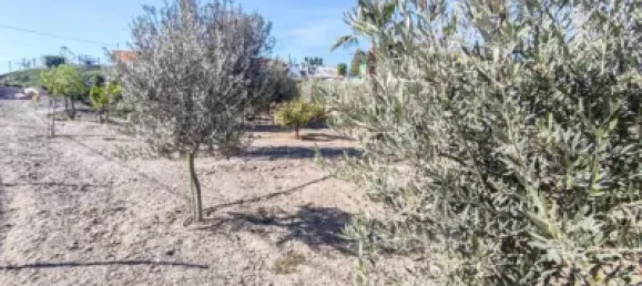 2 bedrooms House in Aguilas, Spain No. 144191 13