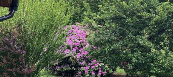 Студия в Локкенхаус, Австрия № 247303 19