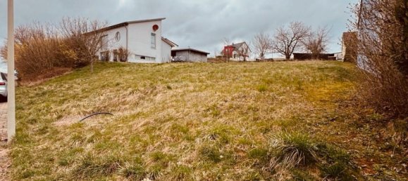  Land in Neustadt an der Waldnaab, Germany No. 270286 6