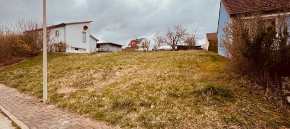  Land in Neustadt an der Waldnaab, Germany No. 270286 8