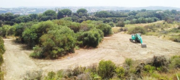  Land in Cadiz, Spain No. 25910 3