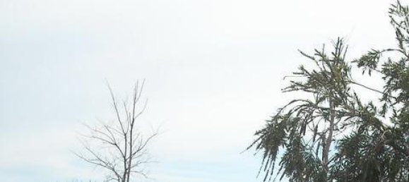  Land in Cadiz, Spain No. 25910 19