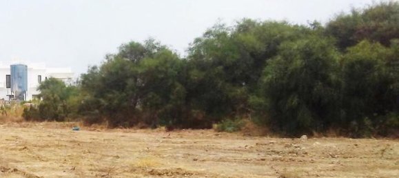  Land in Cadiz, Spain No. 25910 12