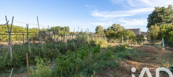 2 chambres Maison à Sencelles, Spain No. 292478 20