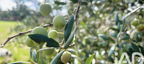 2 chambres Maison à Sencelles, Spain No. 292478 28
