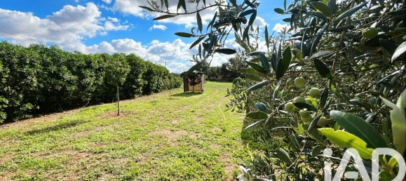 2 chambres Maison à Sencelles, Spain No. 292478 29