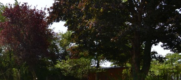 Apartamento de 3 dormitorios en Bodenseekreis, Germany No. 276191 17