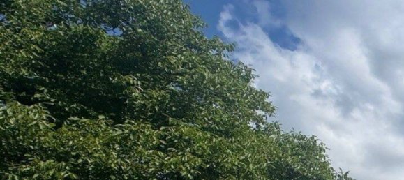 Casa de 2 divisões em Alt-Hohenschonhausen, Germany N.º 341279 8