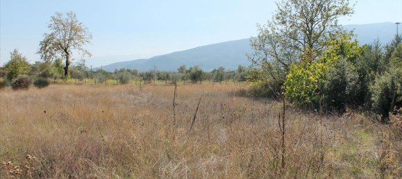 470m² Property in Pieria, Greece No. 6552 4