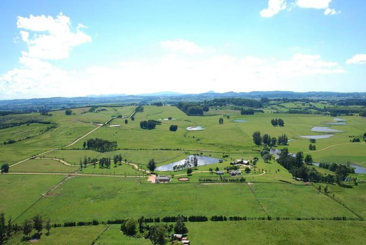 50m² Farm in Maldonado, Uruguay No. 15456