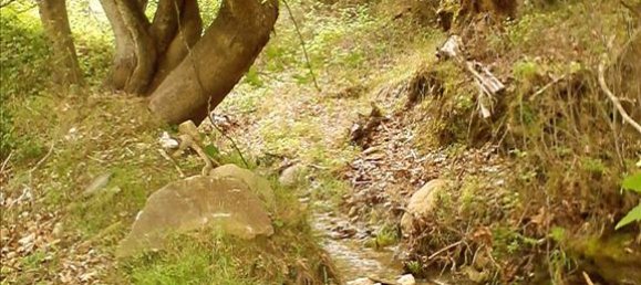 Hotel em Thasos, Greece 4500 m² N.º 7882 3