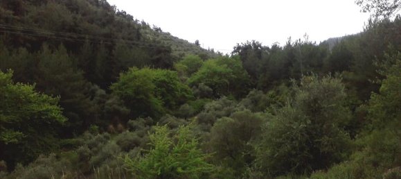 Hotel em Thasos, Greece 4500 m² N.º 7882 2