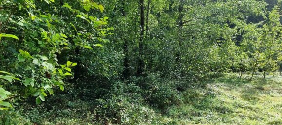  Land in Pressbaum, Austria No. 51580 13