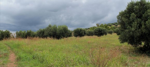 16500m² Hotel in Chalkidiki, Greece No. 7566 5