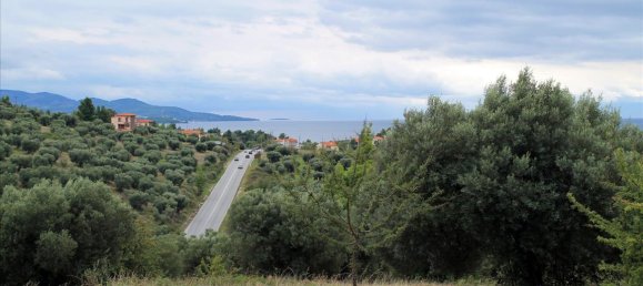 16500m² Hotel in Chalkidiki, Greece No. 7566 8