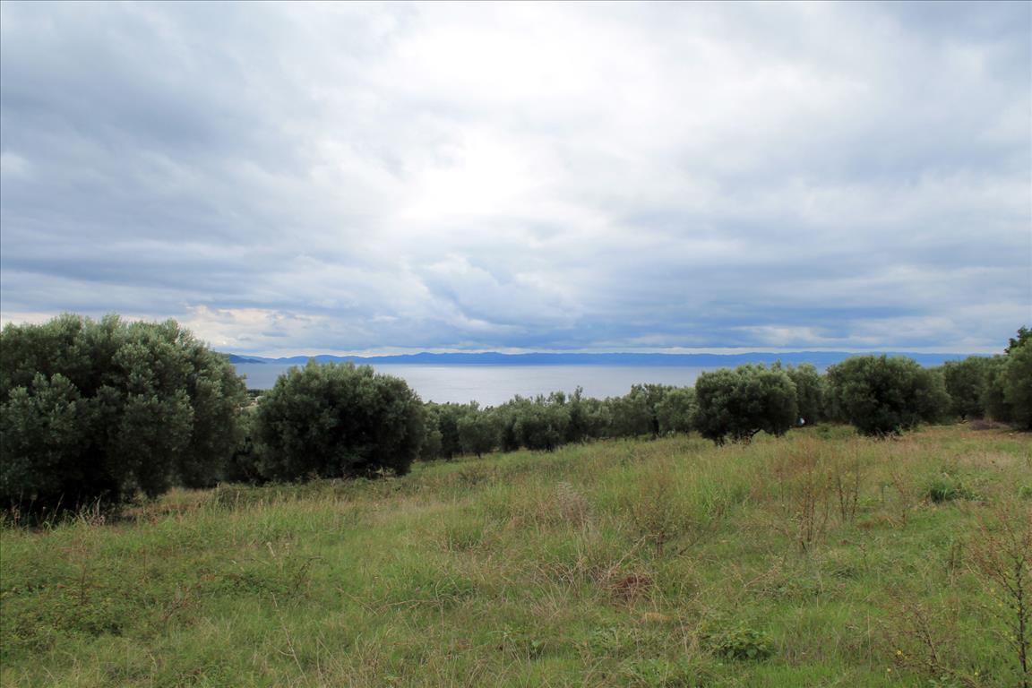 Hotel in Chalkidiki, Greece 16500m², Nr. 7566