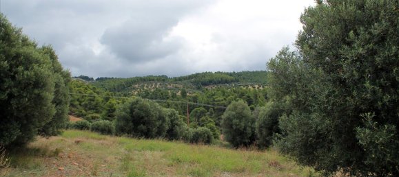 16500m² Hotel in Chalkidiki, Greece No. 7566 4