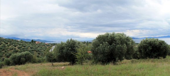 16500m² Hotel in Chalkidiki, Greece No. 7566 2