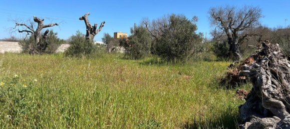 Grundstück in Gallipoli, Italy 3000m², Nr. 234928 10