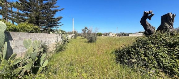 Grundstück in Gallipoli, Italy 3000m², Nr. 234928 9